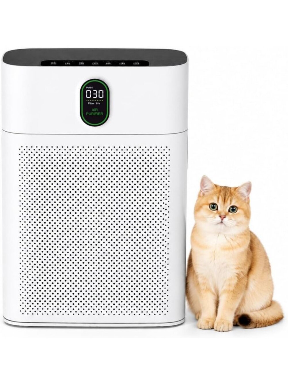 Large Room Air Purifier for 3000 Sq Ft, True HEPA Filter, Quiet & Pet-Friendly
